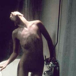 Bilder Nico Papatakis