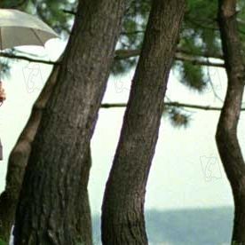 Bilder Tony Takitani