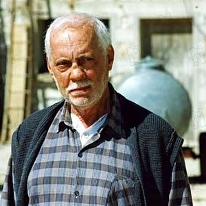 Bilder Eine Schwalbe macht den Sommer