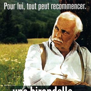 Bilder Eine Schwalbe macht den Sommer