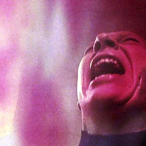 Bilder Stéphane Guénin