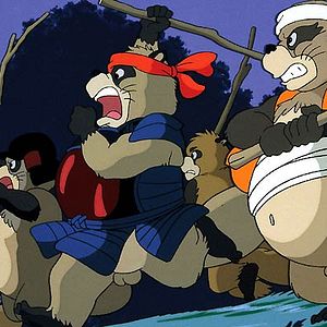 Bilder Pom Poko