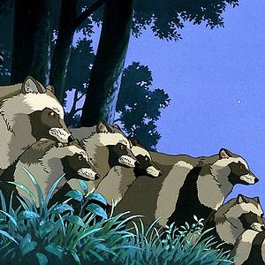Bilder Pom Poko