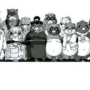 Bilder Pom Poko
