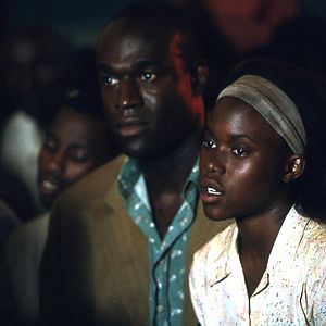 Bilder Shooting Dogs