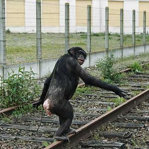 Bilder Jean-Pierre Limosin