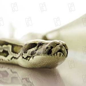 Bilder David R. Ellis