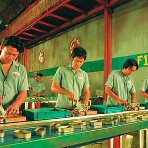 Bilder Wisit Sasanatieng