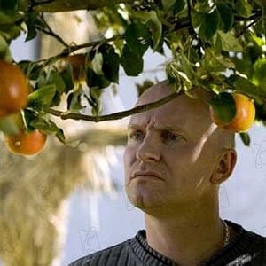 Bilder Ulrich Thomsen