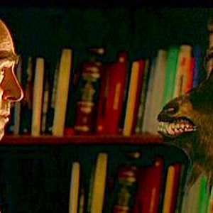 Bilder El día de la bestia