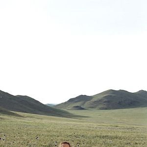 Bilder Die Höhle des gelben Hundes