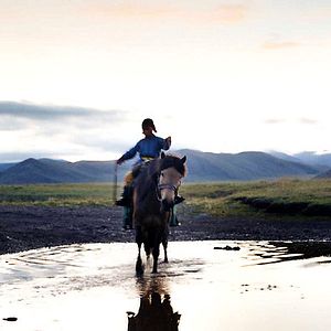 Bilder Die Höhle des gelben Hundes