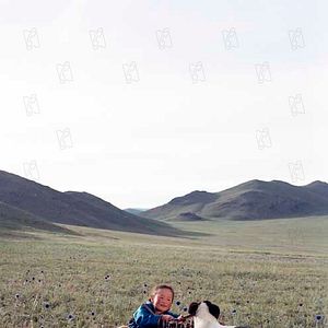 Bilder Die Höhle des gelben Hundes