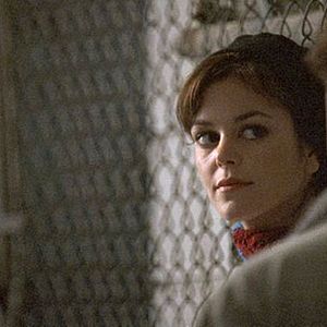 Bilder Nora Zehetner