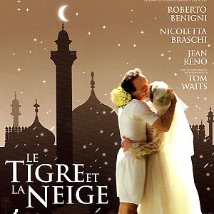 Bilder Der Tiger und der Schnee