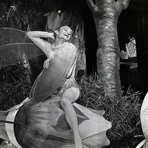 Bilder Michel Audiard