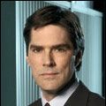 Bilder Thomas Gibson