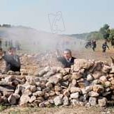 Bilder Tiger Brigades