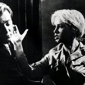 Bilder Too Late Blues