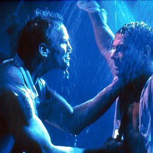 Bilder Mit stählerner Faust