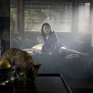 Bilder Steven Spielberg