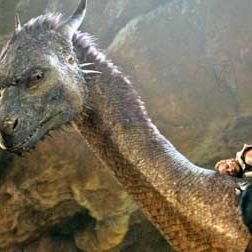 Bilder Stefen Fangmeier