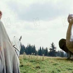 Bilder Stefen Fangmeier