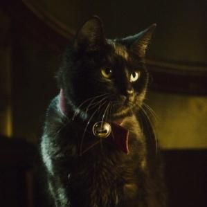 Bilder Stuart Gordon