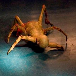 Bilder John Carpenter