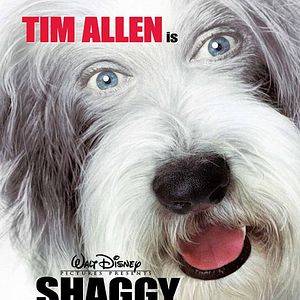 Bilder Brian Robbins