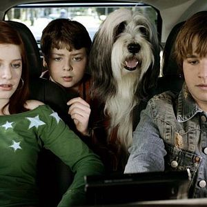 Bilder Brian Robbins