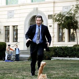 Bilder Brian Robbins