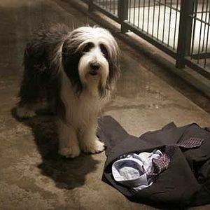 Bilder Brian Robbins