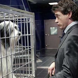 Bilder Brian Robbins