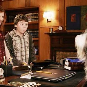 Bilder Brian Robbins