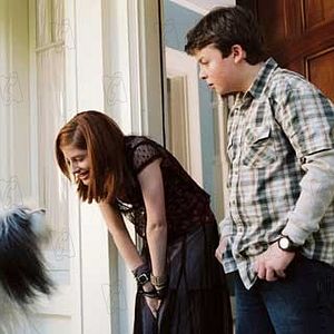 Bilder Brian Robbins