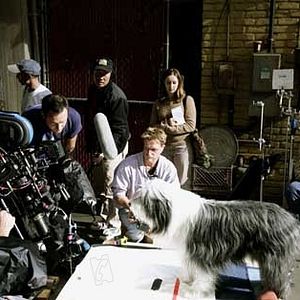 Bilder Brian Robbins