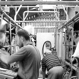 Bilder Pierre Creton