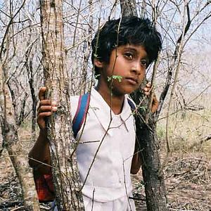 Bilder Vimukthi Jayasundara