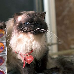 Bilder Jason Friedberg