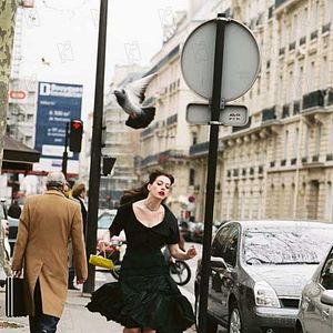 Bilder David Frankel