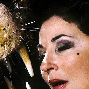 Bilder Michel Piccoli