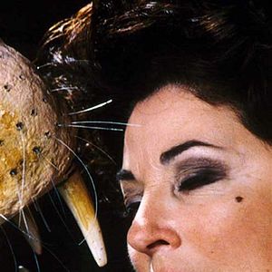 Bilder Michel Piccoli