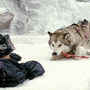 Bilder Frank Marshall