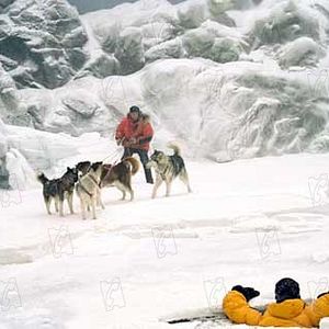 Bilder Frank Marshall