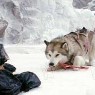 Bilder Bruce Greenwood