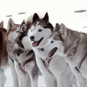 Bilder Frank Marshall