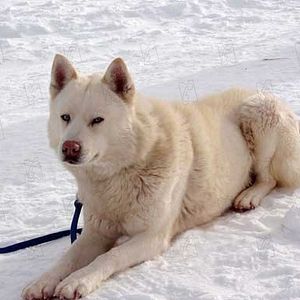 Bilder Frank Marshall