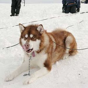 Bilder Frank Marshall