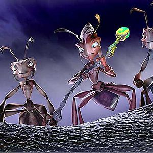 Bilder Lucas, der Ameisenschreck